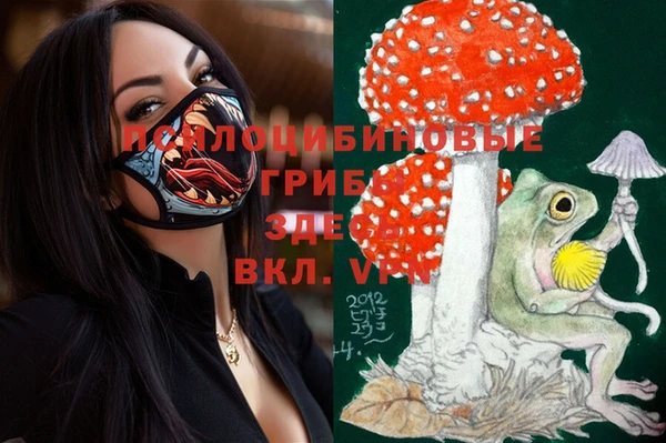 хмурый Заводоуковск