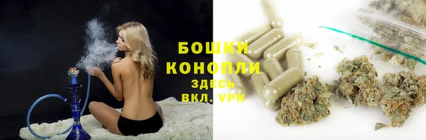 СК Елизово