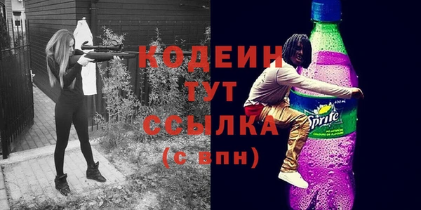 СК Елизово