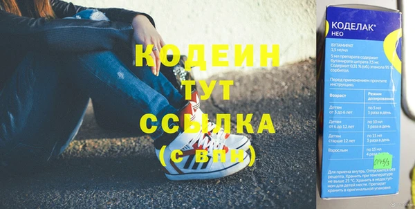 СК Елизово