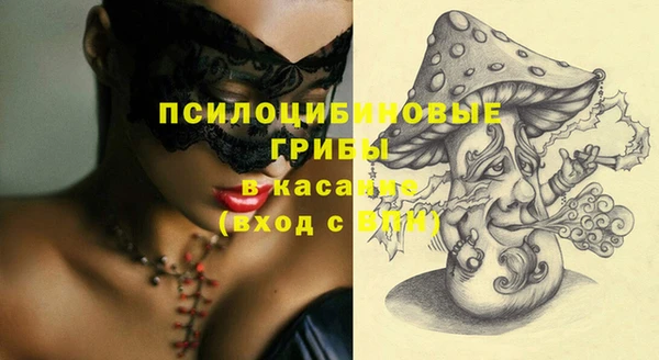 стафф Новокубанск