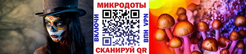 Псилоцибиновые грибы Magic Shrooms Сенгилей