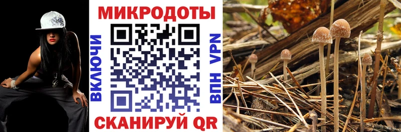 shop официальный сайт  Сенгилей  Галлюциногенные грибы ЛСД 